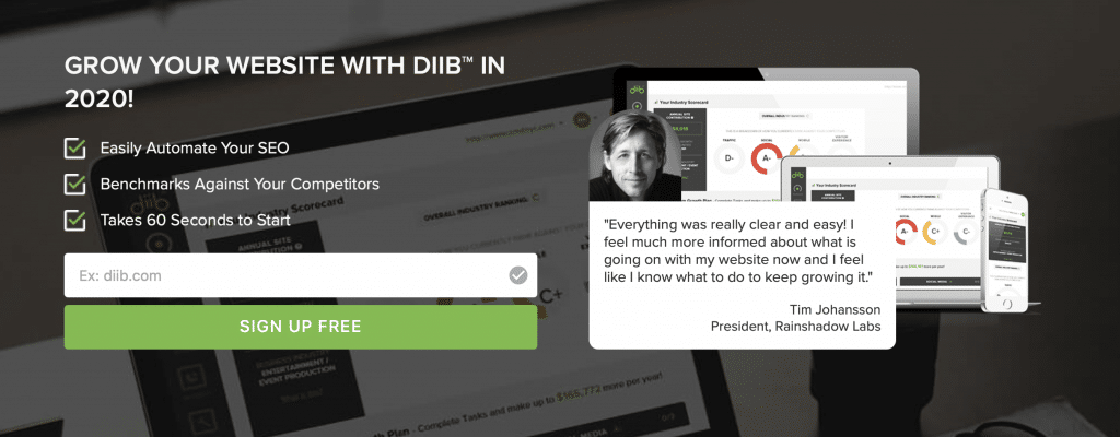 diib ai seo tool